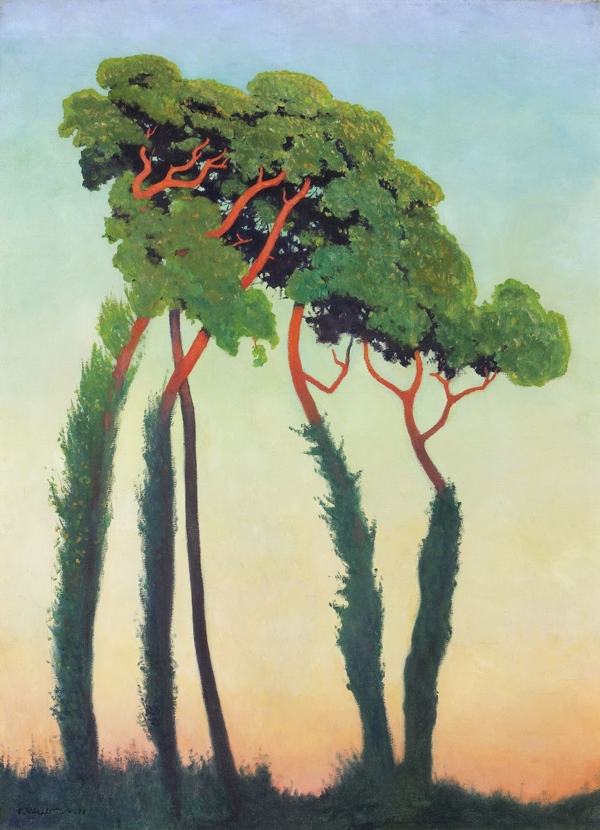 Paisaje con árboles